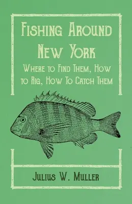 Angeln rund um New York - Wo man sie findet, wie man sie ausrüstet, wie man sie fängt - Fishing Around New York - Where to Find Them, How to Rig, How To Catch Them