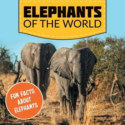Elefanten der Welt: Wissenswertes über Elefanten - Elephants of the World: Fun Facts About Elephants