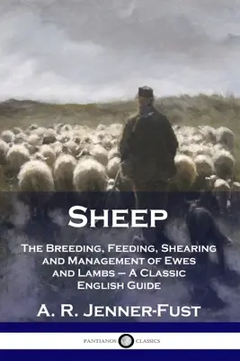 Schafe: Zucht, Fütterung, Schur und Haltung von Schafen und Lämmern - Ein klassisches englisches Handbuch - Sheep: The Breeding, Feeding, Shearing and Management of Ewes and Lambs - A Classic English Guide