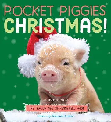 Taschenschweinchen: Weihnachten! - Pocket Piggies: Christmas!