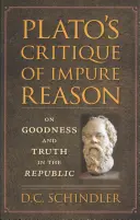 Platons Kritik der unreinen Vernunft: Über das Gute und die Wahrheit in der Republik - Plato's Critique of Impure Reason: On Goodness and Truth in the Republic