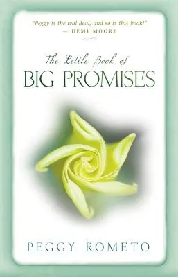 Kleines Buch der großen Versprechen - Little Book of Big Promises