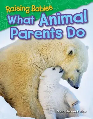 Babies großziehen: Was Tiereltern tun - Raising Babies: What Animal Parents Do