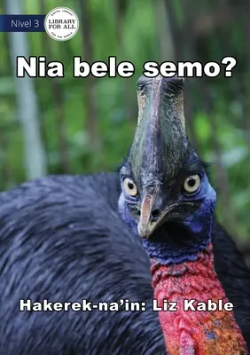 Kann sie fliegen? - Nia bele semo? - Can It Fly? - Nia bele semo?