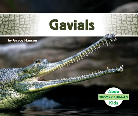 Gaviale - Gavials