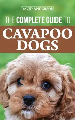 Der komplette Cavapoo-Leitfaden: Alles, was Sie wissen müssen, um Ihren neuen Cavapoo-Welpen erfolgreich aufzuziehen und auszubilden - The Complete Guide to Cavapoo Dogs: Everything you need to know to successfully raise and train your new Cavapoo puppy