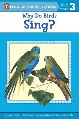 Warum singen Vögel? - Why Do Birds Sing?