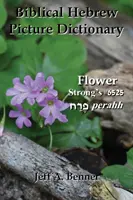 Biblisch-Hebräisches Bildwörterbuch - Biblical Hebrew Picture Dictionary
