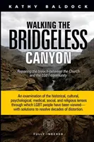 Den brückenlosen Canyon gehen: Die Überwindung der Kluft zwischen der Kirche und der LGBTQ-Gemeinschaft - Walking the Bridgeless Canyon: Repairing the Breach between the Church and the LGBTQ Community