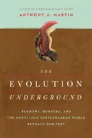 Die Evolution im Untergrund - The Evolution Underground