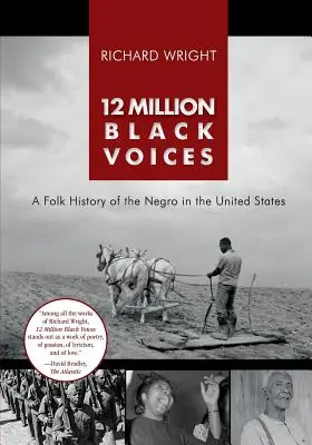 12 Millionen schwarze Stimmen - 12 Million Black Voices