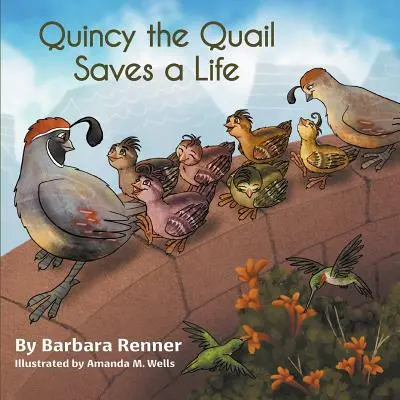 Quincy die Wachtel rettet ein Leben - Quincy the Quail Saves a Life