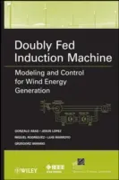 Zweifach gespeiste Induktionsmaschine - Doubly Fed Induction Machine