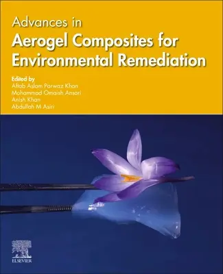 Fortschritte bei Aerogel-Verbundwerkstoffen für die Umweltsanierung - Advances in Aerogel Composites for Environmental Remediation