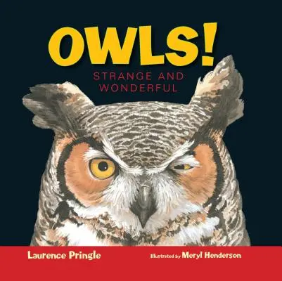 Eulen: Seltsam und wundervoll - Owls!: Strange and Wonderful