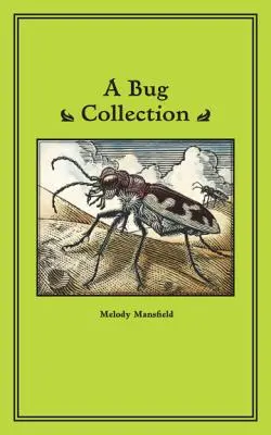 Eine Käfersammlung - A Bug Collection