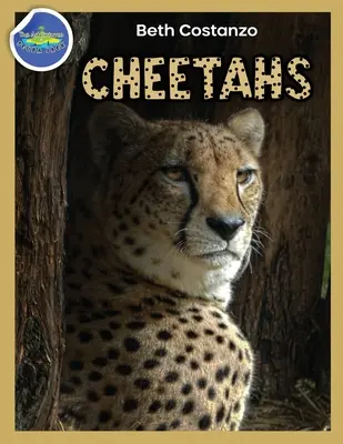 Cheetah Activity Workbook (Gepard) 4-8 Jahre - Cheetah Activity Workbook ages 4-8