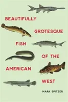 Wunderschön groteske Fische des amerikanischen Westens - Beautifully Grotesque Fish of the American West