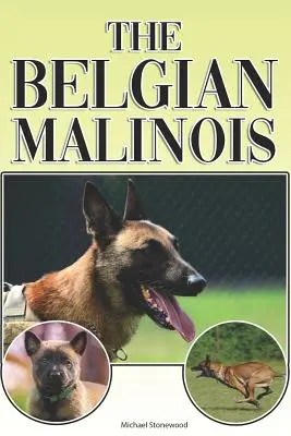 Der Belgische Malinois: Ein kompletter und umfassender Leitfaden für Einsteiger: Kaufen, Besitzen, Gesundheit, Pflege, Training, Gehorsam, Verstehen - The Belgian Malinois: A Complete and Comprehensive Beginners Guide To: Buying, Owning, Health, Grooming, Training, Obedience, Understanding