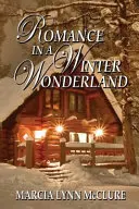 Romanze in einem Winterwunderland - Romance in a Winter Wonderland