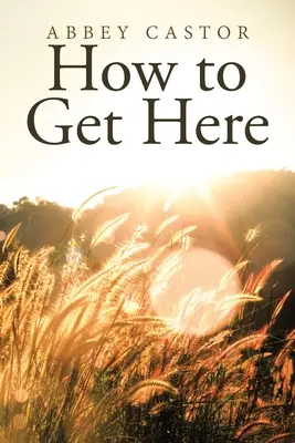 Wie man hierher kommt - How to Get Here
