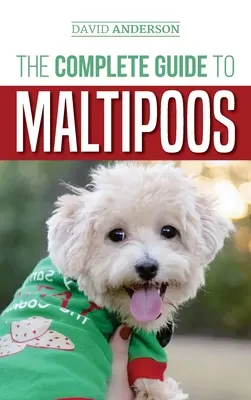 Der vollständige Leitfaden für Maltipoos: Alles, was Sie vor der Anschaffung eines Maltipoos wissen müssen - The Complete Guide to Maltipoos: Everything you need to know before getting your Maltipoo dog