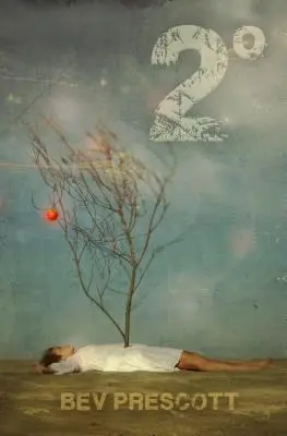 2 Grad Celsius - 2 Degrees