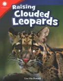 Die Aufzucht von Wolkenleoparden - Raising Clouded Leopards