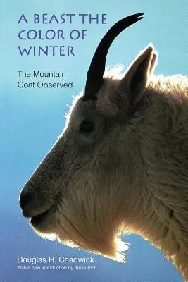 Ein Biest in der Farbe des Winters: Die beobachtete Bergziege - A Beast the Color of Winter: The Mountain Goat Observed