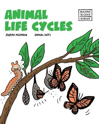 Lebenszyklen der Tiere - Animal Life Cycles