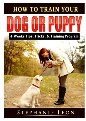 Wie Sie Ihren Hund oder Welpen erziehen: 4 Wochen Tipps, Tricks und Trainingsprogramm - How to Train Your Dog or Puppy: 4 Weeks Tips, Tricks, & Training Program