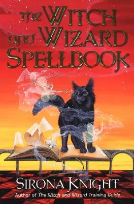 Das Zauberbuch für Hexen und Zauberer - The Witch and Wizard Spellbook