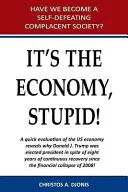 Es ist die Wirtschaft, Dummkopf - It's the Economy, Stupid