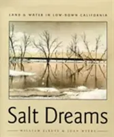 Salzige Träume: Land und Wasser in Low-Down California - Salt Dreams: Land and Water in Low-Down California