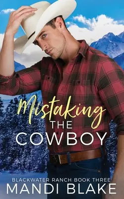 Die Verwechslung des Cowboys: Ein zeitgenössischer christlicher Liebesroman - Mistaking the Cowboy: A Contemporary Christian Romance