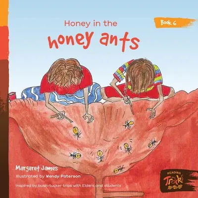 Honig bei den Honigameisen - Honey in the honey ants
