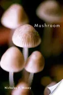 Pilze - Mushroom