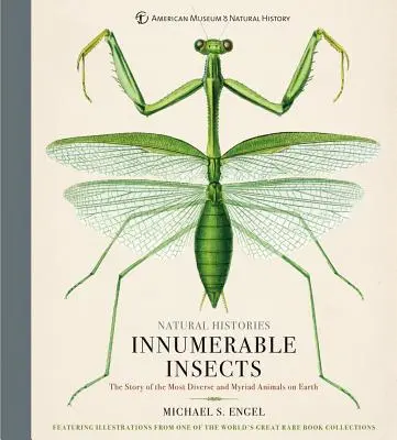 Unzählige Insekten: Die Geschichte der vielfältigsten und mannigfaltigsten Tiere der Erde - Innumerable Insects: The Story of the Most Diverse and Myriad Animals on Earth