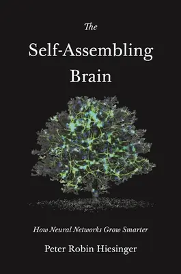 Das sich selbst zusammensetzende Gehirn: Wie neuronale Netze klüger werden - The Self-Assembling Brain: How Neural Networks Grow Smarter