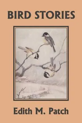 Vogelgeschichten (Yesterday's Classics) - Bird Stories (Yesterday's Classics)