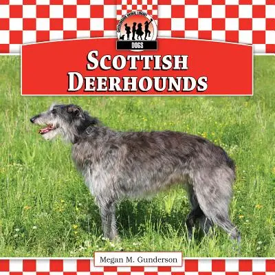 Schottische Deerhounds - Scottish Deerhounds