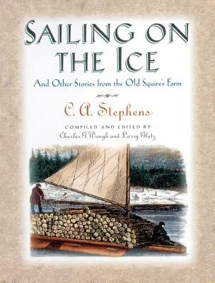 Segeln auf dem Eis: Und andere Geschichten vom alten Gutsherrnhof - Sailing on the Ice: And Other Stories from the Old Squire's Farm