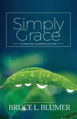 Einfach Gnade: Alltägliche Einblicke in Gott - Simply Grace: Everyday Glimpses of God