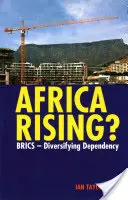 Afrika im Aufwind? Brics - Diversifizierung der Abhängigkeiten - Africa Rising?: Brics - Diversifying Dependency