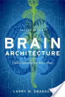 Architektur des Gehirns - Brain Architecture