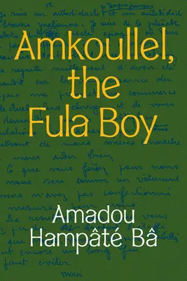 Amkoullel, der Fula-Junge - Amkoullel, the Fula Boy