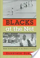 Schwarze an der Neta: Schwarze Leistungen in der Geschichte des Tennissports, Vol. I - Blacks at the Neta: Black Achievement in the History of Tennis, Vol. I