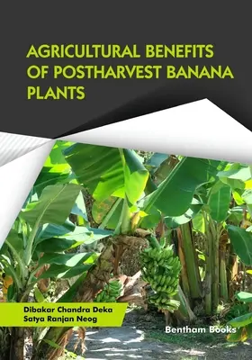 Landwirtschaftlicher Nutzen von Nachernte-Bananenstauden - Agricultural Benefits of Postharvest Banana Plants