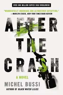 Nach dem Absturz - After the Crash