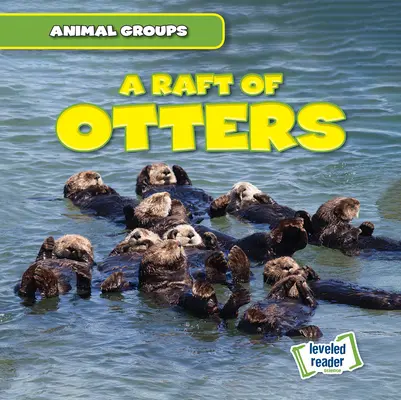 Ein Floß voller Otter - A Raft of Otters